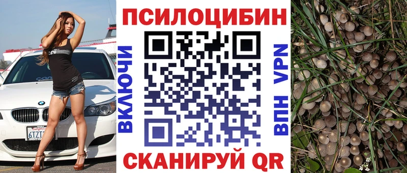 мега маркетплейс Десногорск Псилоцибиновые грибы Cubensis